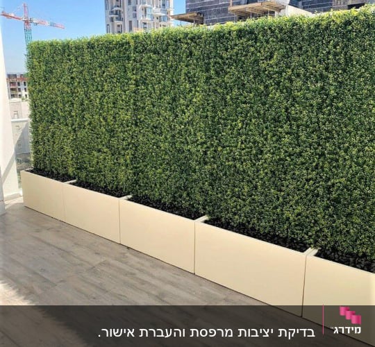 גדר צמחייה מלאכותית על מרפסת עם רקע של בניינים בבנייה